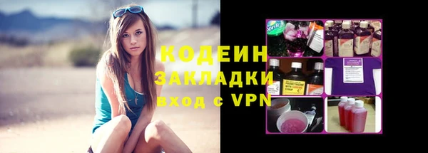 твердый Долгопрудный
